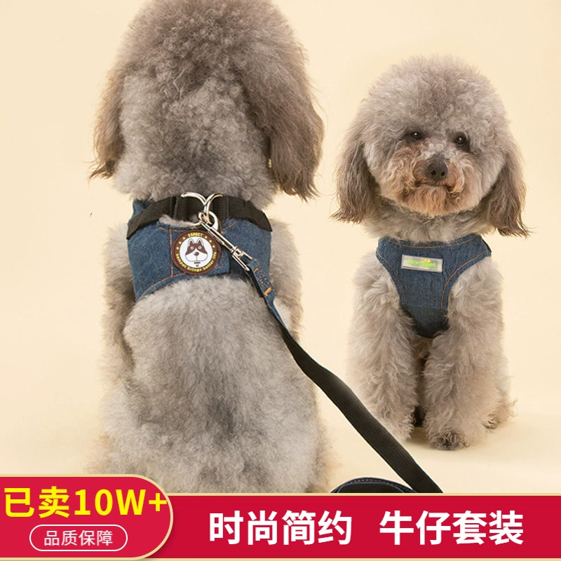 Маленький собачий жилет, поводок для собаки, Тедди, цепочка для щенка, веревка для выгула собаки, принадлежности для шлейки для домашних животных