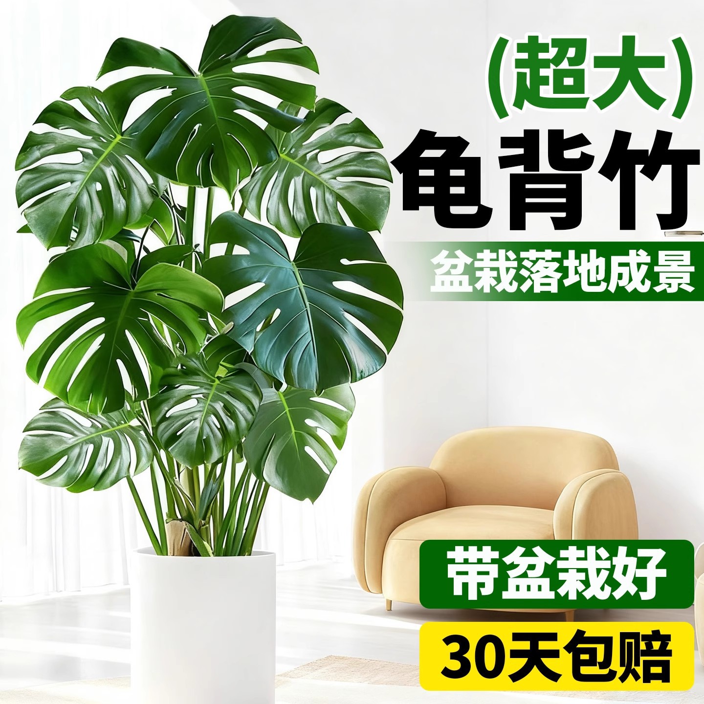商品图