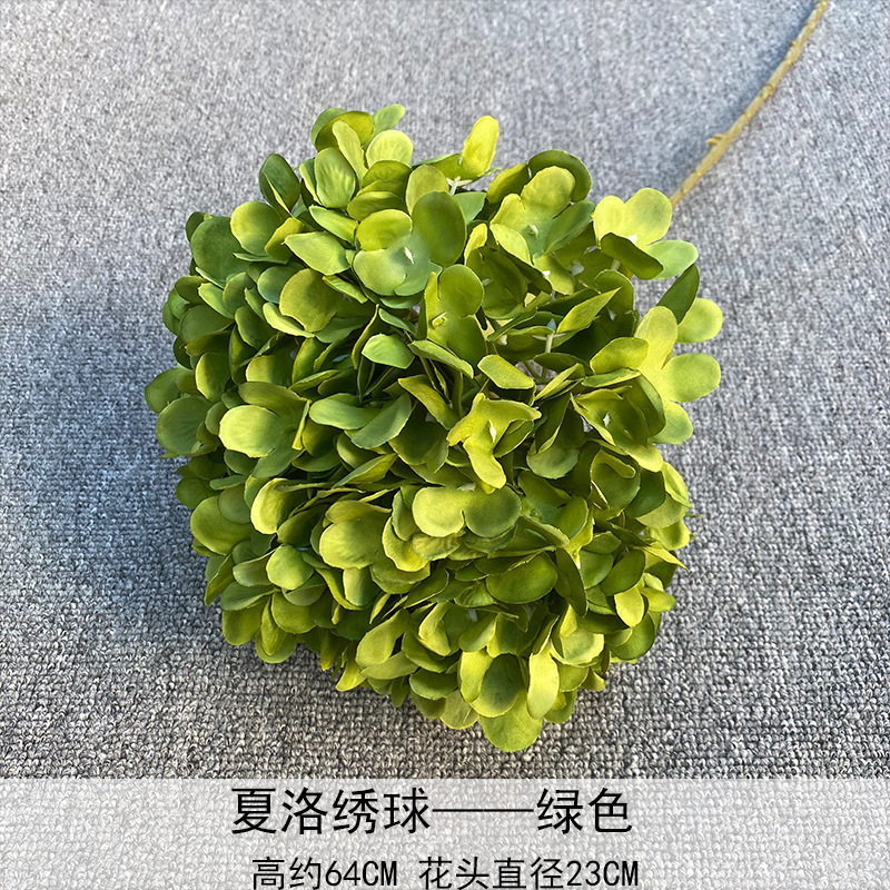 Hortensia Choro Verde