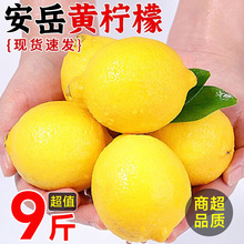 �Ĵ������S�������r���ʮa��ֱ�lƤ����֭�����̲�����Ù������l