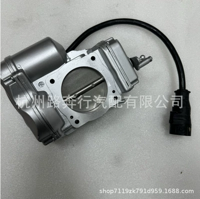 Engine Throttle Assembly – Drossel