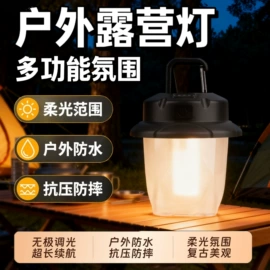 手电筒;手电筒;野营/露营灯