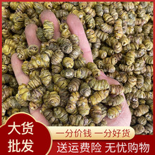 霍山铁皮石斛枫斗正宗云南基地现货批发泡茶煲汤中草药材天然