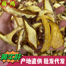 【黄牛肝】云南特产白葱菌黄牛肝菌干片黄行菇菌菇干货 批发 代发