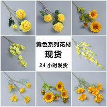 ��c���滨���Sɫϵ�� �z��õ��ĵ���Ų廨 �҃Ȳ������滨ˇ