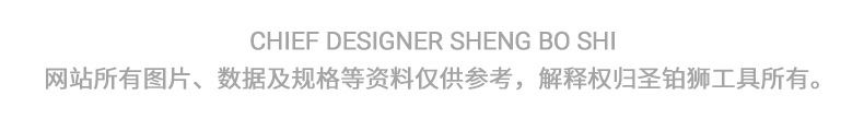 圣铂狮设计.jpg