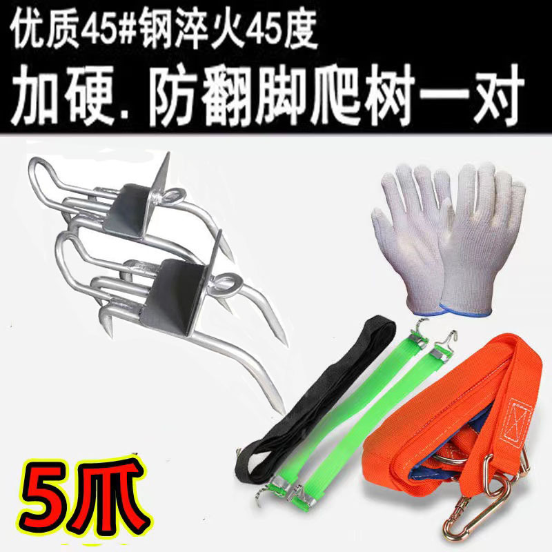 fd9c146b-a1e5-4ca1-9fad-151bcaec548c.jpe