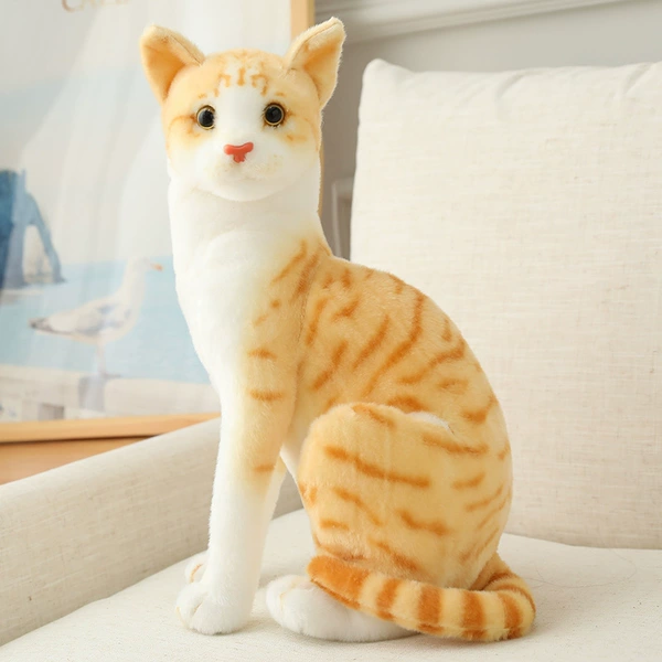 Sitting orange cat