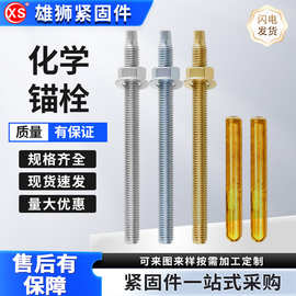 化学锚栓药剂镀锌不锈钢定性螺栓外六角膨胀螺丝到锥形化学锚栓