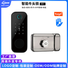 智能牛头锁外装门锁指纹锁遥控刷卡电子大门密码锁老式铁门涂鸦TT