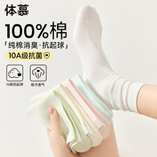 100%���m��Ů�����ļ�������Ͳ�m���޷��������Ѷ��L�mŮʿ�����m