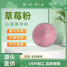 草莓粉99%水溶 固体饮料烘焙食品原料 量大从优 资质齐全