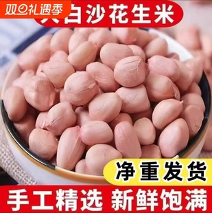 �|����ɳ������5��F���r���ԷN���������ۼtƤ���r��ե��24��