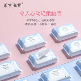 纯水湿厕纸家用马桶可降解可冲散湿巾男女通用卫生清洁护理湿巾