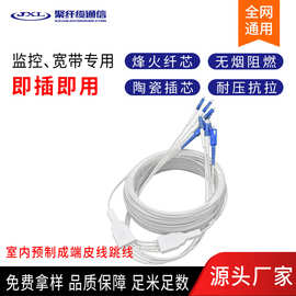 预制成端皮纤跳纤 SC/UPC SC/APC 双钢丝1芯皮线跳线10米皮线光缆