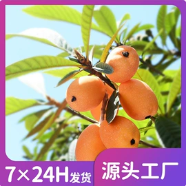 仿真果蔬;食物工艺品;其他工艺品