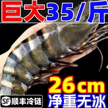 �ڻ��r���r�r���ϻ��r���r�ك�������r�ش��r�Ź����r