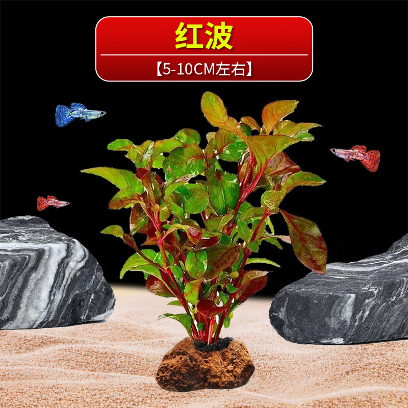 火山石水植物鱼缸净化水质懒人造景摆件全套底砂套餐性真|undefined