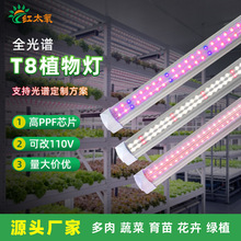 T8һ�wֲ��������L��Led�M����������߲��҃�ȫ���V�a���