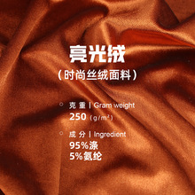 250g涤纶亮光绒丝绒布 韩国冰花倒毛金丝绒面料 女装围巾礼服面料