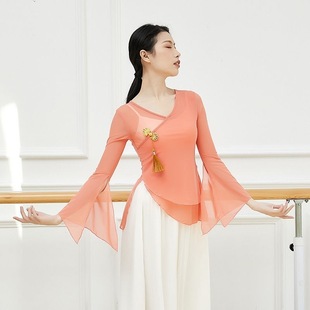 Classical Dance Performance Clothing Gauze Body Rhyme New Style Women's Elegant Chinese Style Fairy Basic Training Clothing Dance Tops for Women