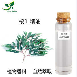 桉叶油 桉树枝叶水蒸馏萃取所得桉树精油 尤加利精油