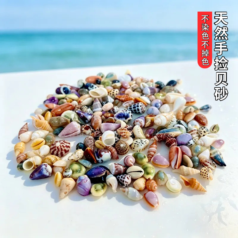 Natural hand-picked shell sand and sea snails sold by the pound for DIY shell crafts, table decorations, drifting bottles, and aquarium landscaping Natural hand-picked shell sand and sea snails sold by the pound for DIY shell crafts, table decorations, drifting bottles, and aquarium landscaping