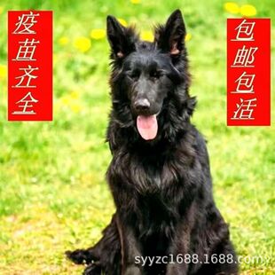 ���NѪ�y�|������Ȯ��Ȯ���w�p�����oԺȮ����Ȯ����ȮѪ�y����