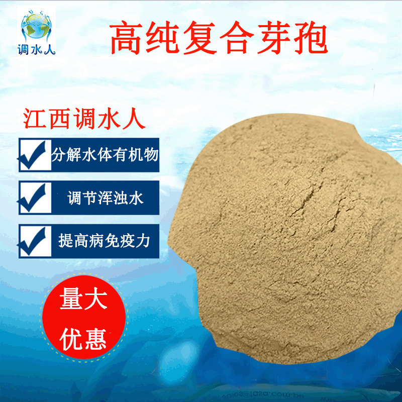 水产养殖芽孢杆菌 稳定水质调节水质 微生物菌剂枯草芽孢杆菌批发