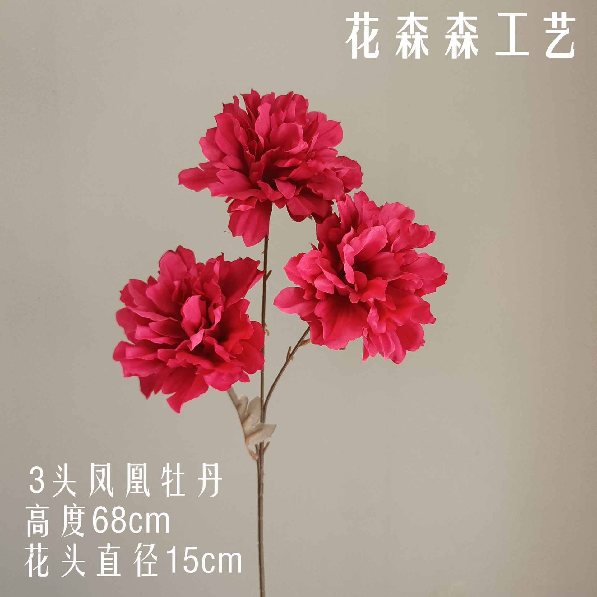 피닉스 모란 110622