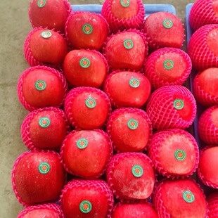 �r�񃞻� ���r��ʿ�O�� apple  �gӭ����ӆُ