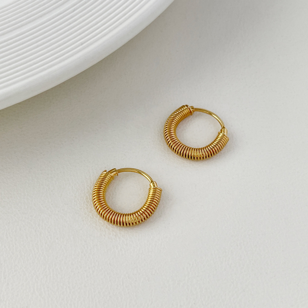 Fashion Solid Color Stainless Steel Plating Earrings 1 Pair