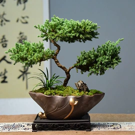 栽培基质;盆栽;营养液