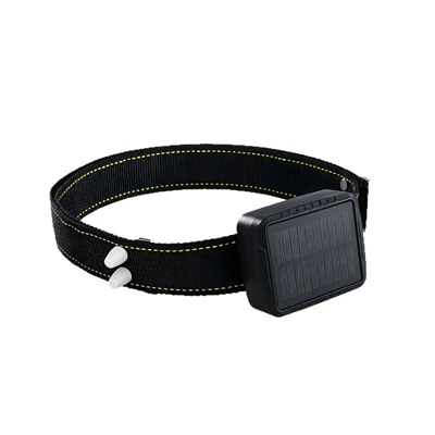 Locator Gps, GPS Locator
