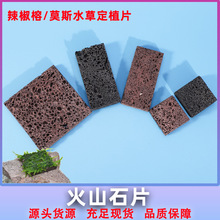 鱼缸火山石片莫斯水草辣椒榕水榕繁殖定植片水草缸固定火山石底座