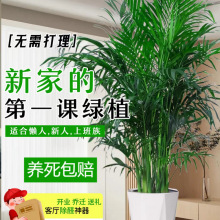 ���;Gֲ���Ը��FҬ���҃ȿ͏d�k�����Bֲ���ļ��������ȩɢβ��