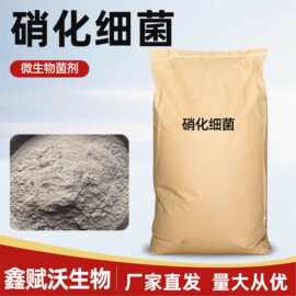 硝化细菌好氧型水产净水菌剂 鱼塘虾塘调水改良水体硝化细菌