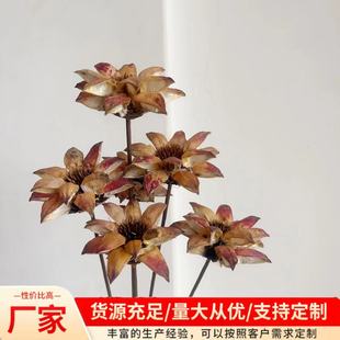 Handmade dried flower ornaments indoor living room art flower arrangement accessories manufacturers wholesale Yunnan dried flower double rose shell