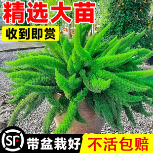 ��β���T�������k���҃�����[�žGֲ��͏d�̨�ļ����B�ͺ�����