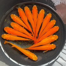 �^�����F�^�p�~ħ���~��ˮ��ˮС���\�����~���������B�׻�