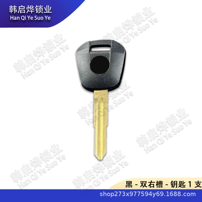 Installed with Chip, Motorcycle Key
