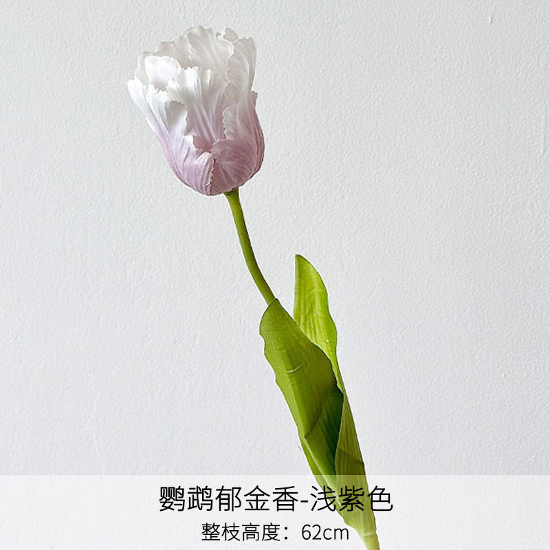 Tulipanes de loro lila