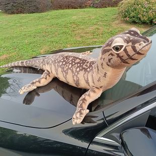 ��������湫��ë�q��߃ɗ����_����ż�����ڻ��Y���������羳