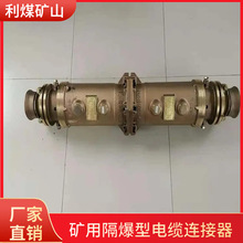 úSҵ͉|ӾLBD2-100/1140Vø|B