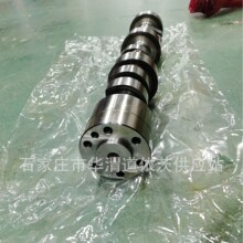 TCD2015 V06lәCͱ͹݆S04262083 m֧܇