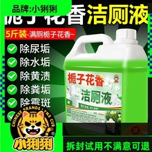 㝍Һ`RͰ坍ϴȥȥSyԇuƷ