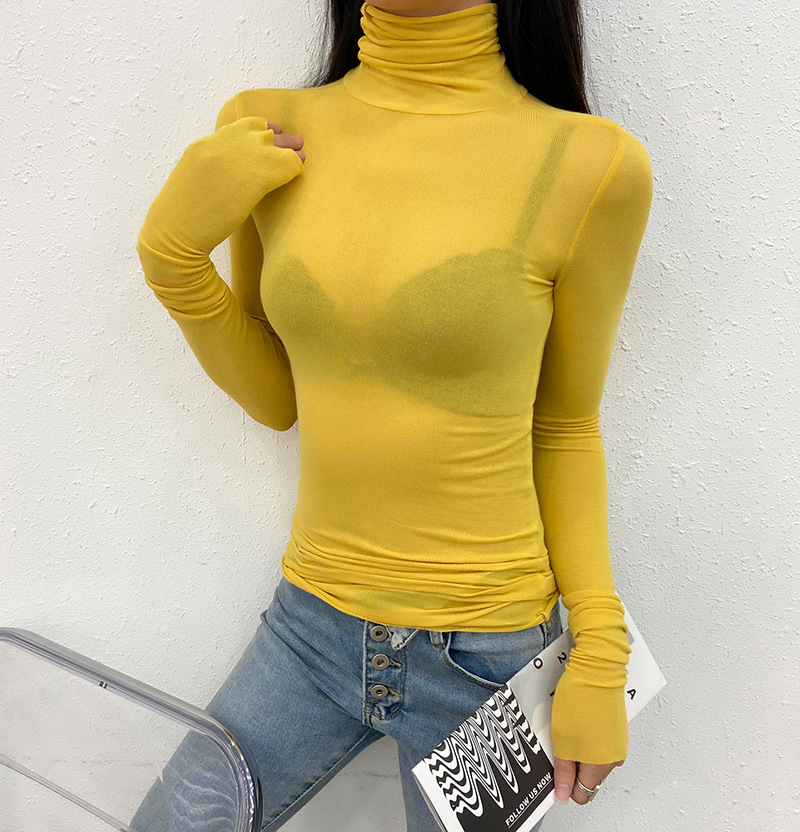 심황