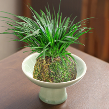 ̦�\�����մɰ���ľ�����бP����[��ʯ���V��ɽ�廨ˮ���غ�