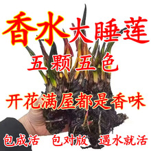 �����ͺɻ�ˮ�Bɏ��˯ɏ���~����ˮ˯ɏ���K�ļ�����ˮ��˯ɏ����