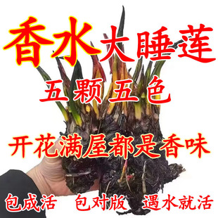 �����ͺɻ�ˮ�Bɏ��˯ɏ���~����ˮ˯ɏ���K�ļ�����ˮ��˯ɏ����